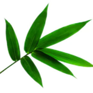 Meet your Posher, Arielle